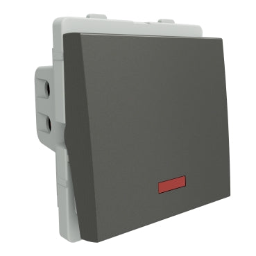 Livia 20A DP Switch (2M) P1120/P1120_PG