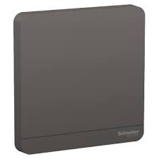 Schneider AvatarOn 1Gang Blank Plate