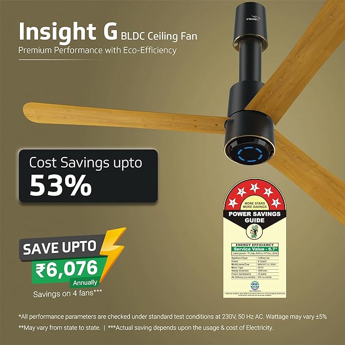 Vguard Insight-G Premium BLDC Fan