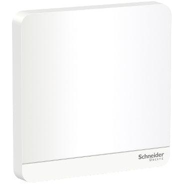 Schneider AvatarOn 1Gang Blank Plate