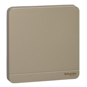 Schneider AvatarOn 1Gang Blank Plate
