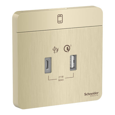 Schneider AvatarOn 21w Type A+C USB Charger