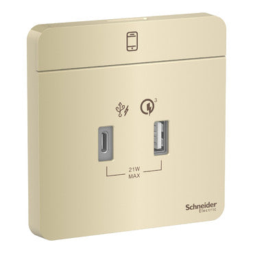 Schneider AvatarOn 21w Type A+C USB Charger